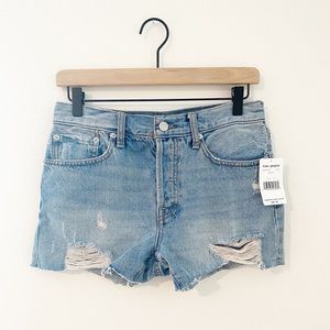 Free People We The Free denim shorts size 27